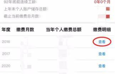 个人社保账户查询缴费记录,个人账户明细深度解析