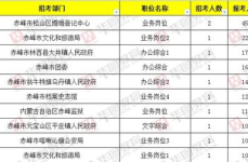 赤峰公务员招聘信息网,最新职位解读与报考指南